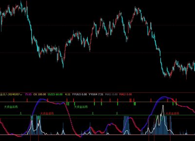 [文华指标]大资金进出
